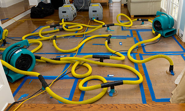 Professional Storm Water Damage Restoration technician working in Brookfield, NJ